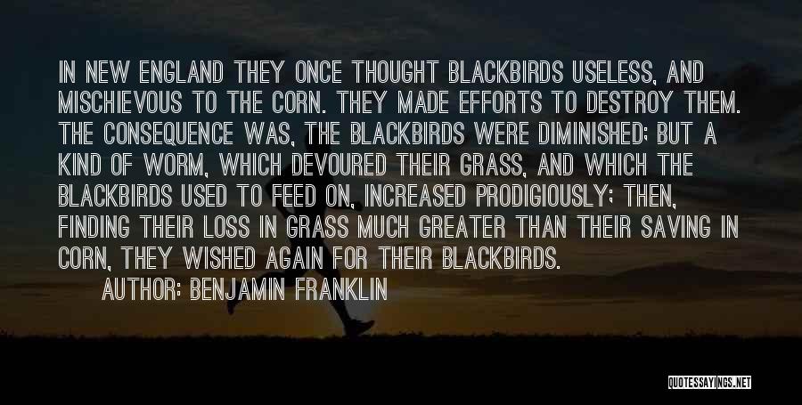 Benjamin Franklin Quotes: In New England They Once Thought Blackbirds Useless, And Mischievous To The Corn. They Made Efforts To Destroy Them. The