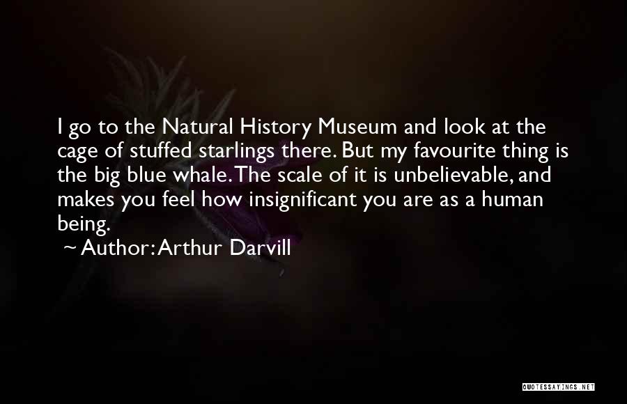 Arthur Darvill Quotes: I Go To The Natural History Museum And Look At The Cage Of Stuffed Starlings There. But My Favourite Thing