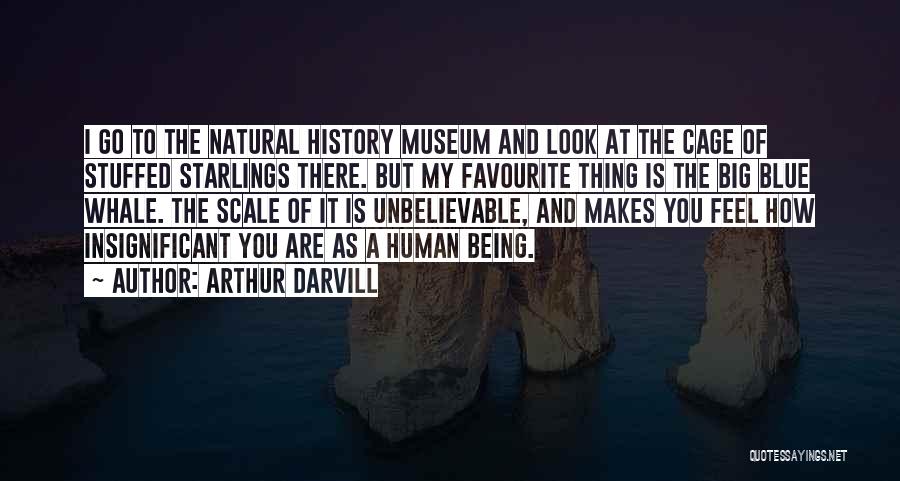 Arthur Darvill Quotes: I Go To The Natural History Museum And Look At The Cage Of Stuffed Starlings There. But My Favourite Thing