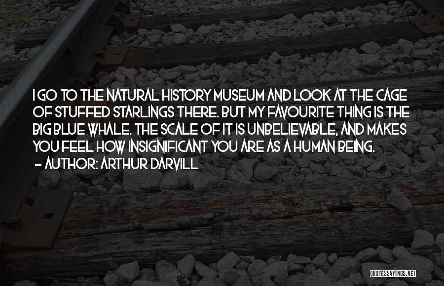 Arthur Darvill Quotes: I Go To The Natural History Museum And Look At The Cage Of Stuffed Starlings There. But My Favourite Thing