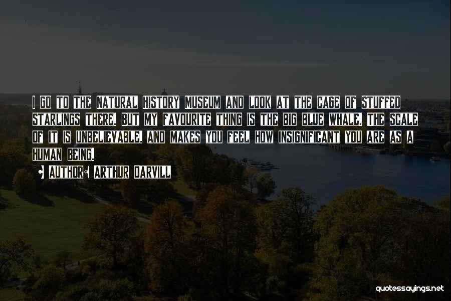 Arthur Darvill Quotes: I Go To The Natural History Museum And Look At The Cage Of Stuffed Starlings There. But My Favourite Thing