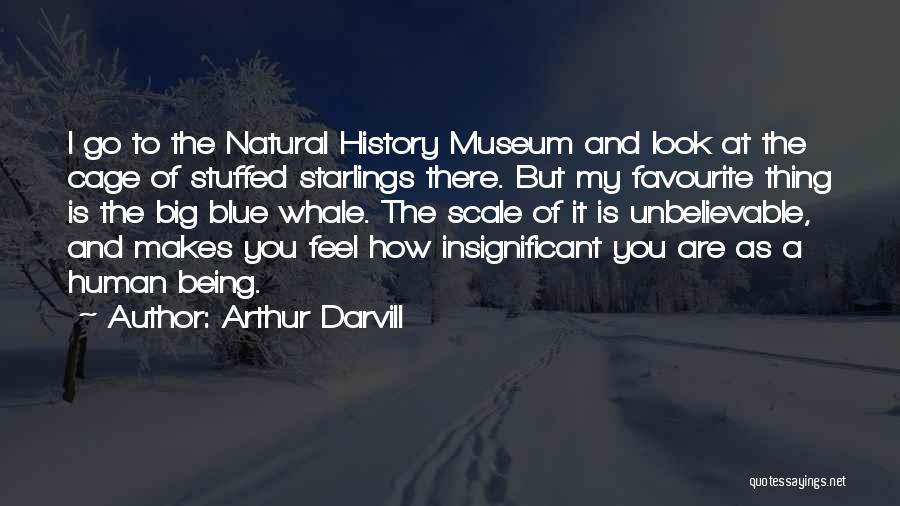 Arthur Darvill Quotes: I Go To The Natural History Museum And Look At The Cage Of Stuffed Starlings There. But My Favourite Thing