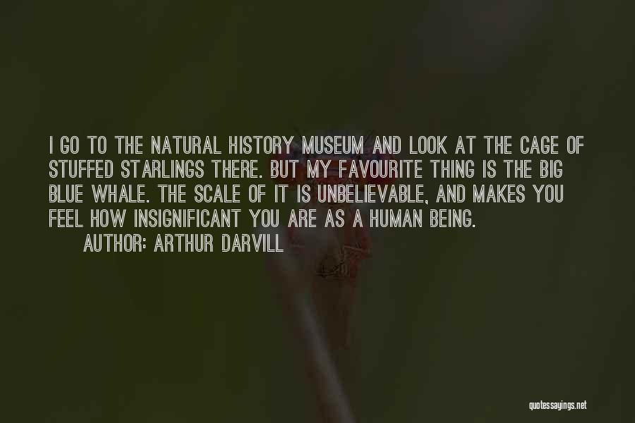 Arthur Darvill Quotes: I Go To The Natural History Museum And Look At The Cage Of Stuffed Starlings There. But My Favourite Thing