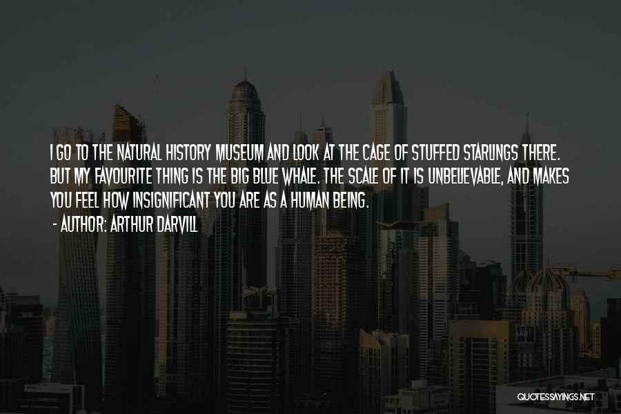 Arthur Darvill Quotes: I Go To The Natural History Museum And Look At The Cage Of Stuffed Starlings There. But My Favourite Thing