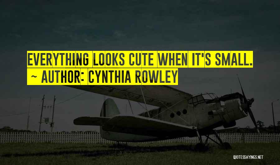 Cynthia Rowley Quotes: Everything Looks Cute When It's Small.