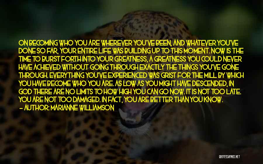Marianne Williamson Quotes: On Becoming Who You Are Wherever You've Been, And Whatever You've Done So Far, Your Entire Life Was Building Up