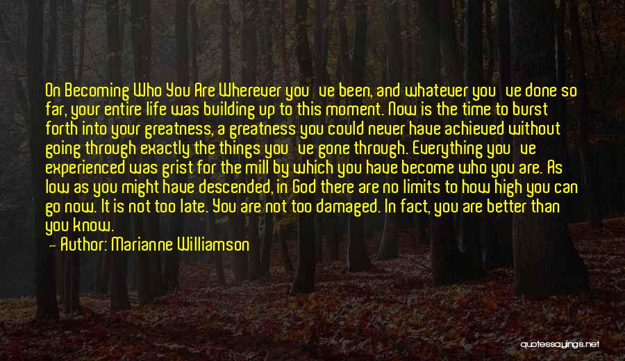 Marianne Williamson Quotes: On Becoming Who You Are Wherever You've Been, And Whatever You've Done So Far, Your Entire Life Was Building Up