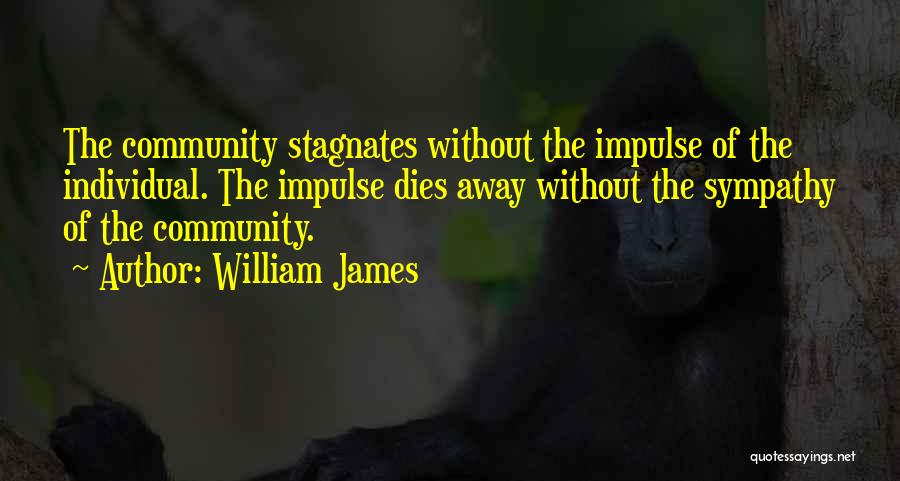 William James Quotes: The Community Stagnates Without The Impulse Of The Individual. The Impulse Dies Away Without The Sympathy Of The Community.