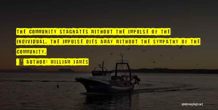William James Quotes: The Community Stagnates Without The Impulse Of The Individual. The Impulse Dies Away Without The Sympathy Of The Community.