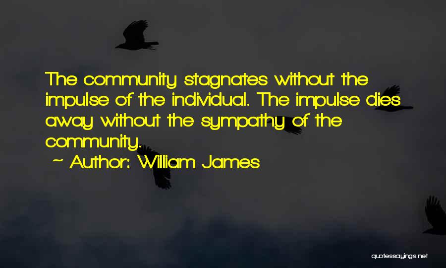 William James Quotes: The Community Stagnates Without The Impulse Of The Individual. The Impulse Dies Away Without The Sympathy Of The Community.