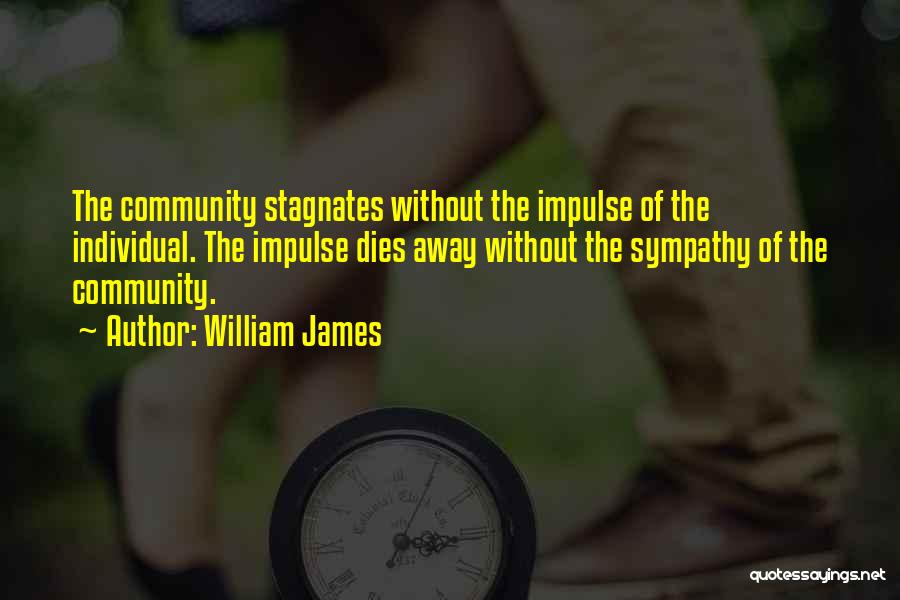 William James Quotes: The Community Stagnates Without The Impulse Of The Individual. The Impulse Dies Away Without The Sympathy Of The Community.