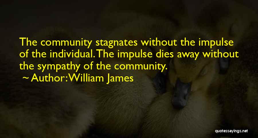 William James Quotes: The Community Stagnates Without The Impulse Of The Individual. The Impulse Dies Away Without The Sympathy Of The Community.