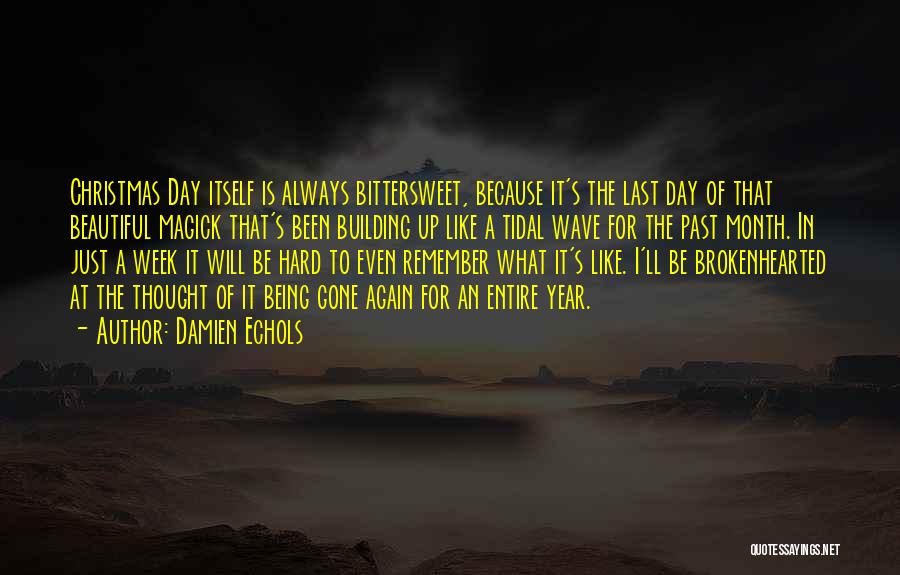 Damien Echols Quotes: Christmas Day Itself Is Always Bittersweet, Because It's The Last Day Of That Beautiful Magick That's Been Building Up Like
