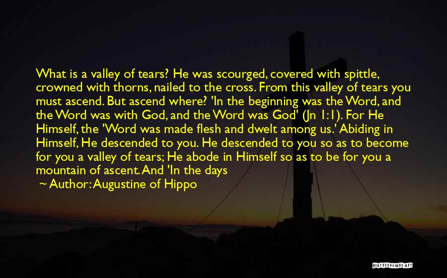 Augustine Of Hippo Quotes: What Is A Valley Of Tears? He Was Scourged, Covered With Spittle, Crowned With Thorns, Nailed To The Cross. From