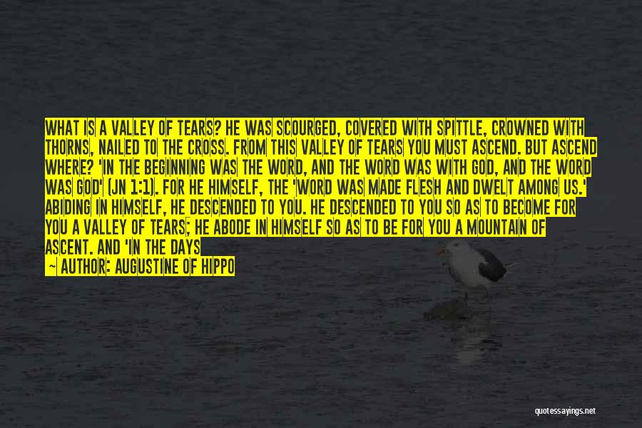 Augustine Of Hippo Quotes: What Is A Valley Of Tears? He Was Scourged, Covered With Spittle, Crowned With Thorns, Nailed To The Cross. From
