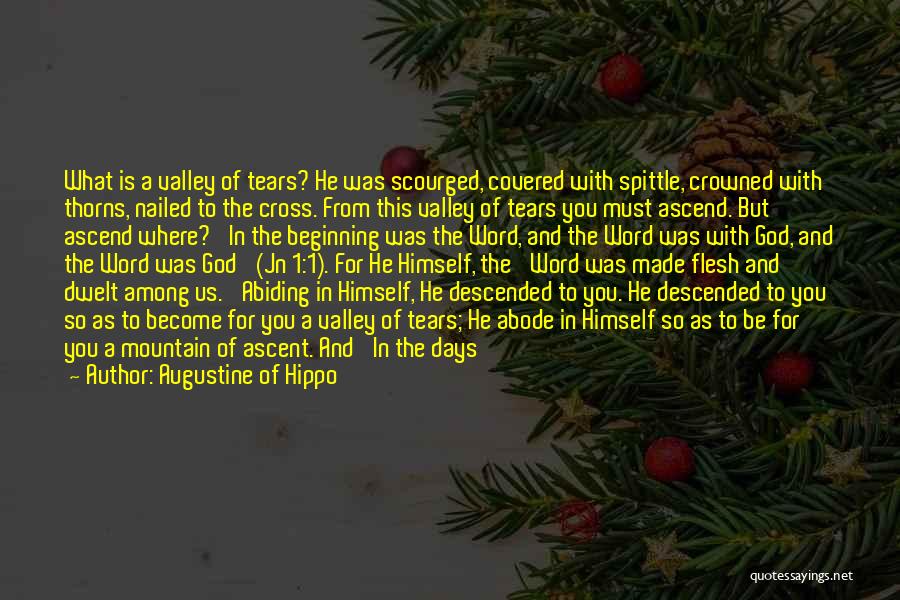 Augustine Of Hippo Quotes: What Is A Valley Of Tears? He Was Scourged, Covered With Spittle, Crowned With Thorns, Nailed To The Cross. From