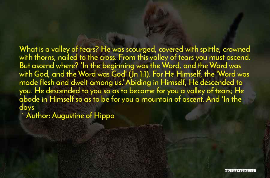 Augustine Of Hippo Quotes: What Is A Valley Of Tears? He Was Scourged, Covered With Spittle, Crowned With Thorns, Nailed To The Cross. From