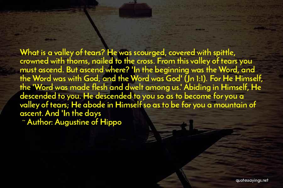 Augustine Of Hippo Quotes: What Is A Valley Of Tears? He Was Scourged, Covered With Spittle, Crowned With Thorns, Nailed To The Cross. From