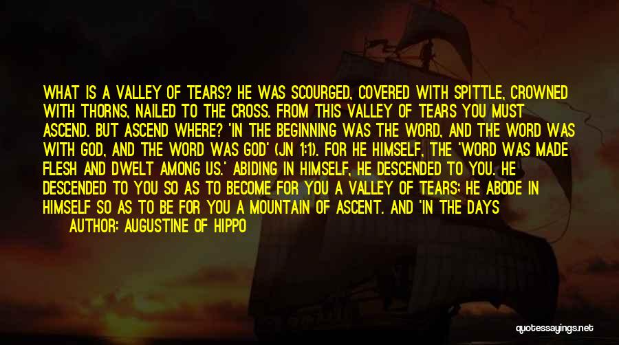 Augustine Of Hippo Quotes: What Is A Valley Of Tears? He Was Scourged, Covered With Spittle, Crowned With Thorns, Nailed To The Cross. From