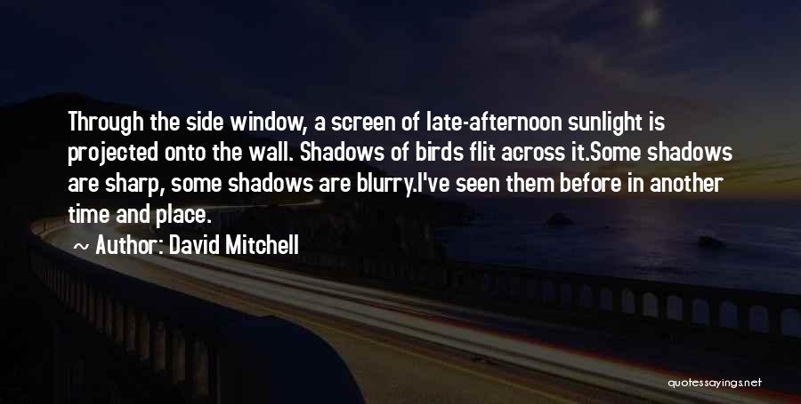 David Mitchell Quotes: Through The Side Window, A Screen Of Late-afternoon Sunlight Is Projected Onto The Wall. Shadows Of Birds Flit Across It.some