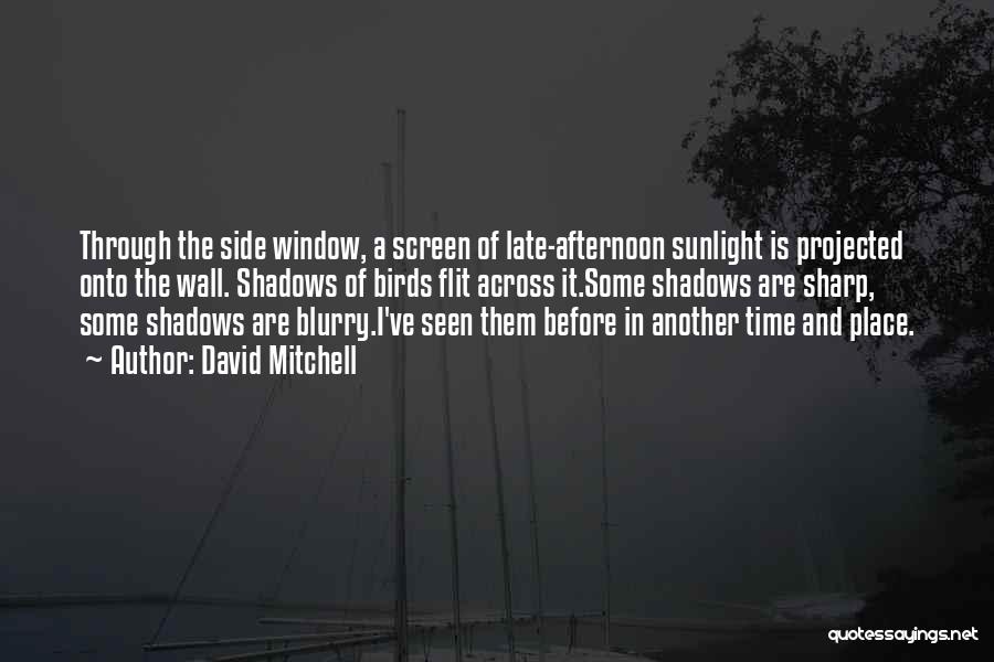 David Mitchell Quotes: Through The Side Window, A Screen Of Late-afternoon Sunlight Is Projected Onto The Wall. Shadows Of Birds Flit Across It.some