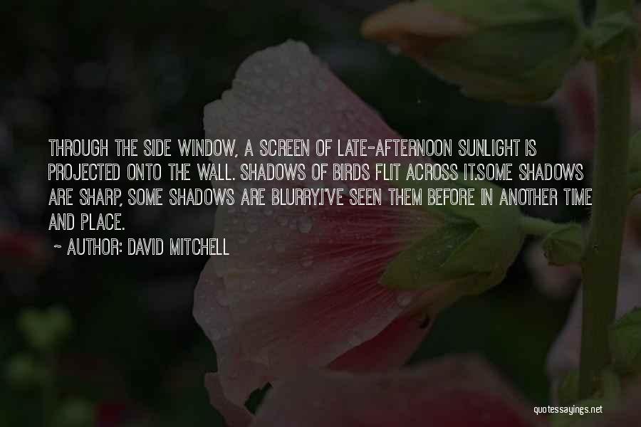 David Mitchell Quotes: Through The Side Window, A Screen Of Late-afternoon Sunlight Is Projected Onto The Wall. Shadows Of Birds Flit Across It.some