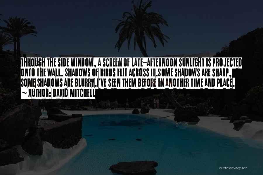 David Mitchell Quotes: Through The Side Window, A Screen Of Late-afternoon Sunlight Is Projected Onto The Wall. Shadows Of Birds Flit Across It.some