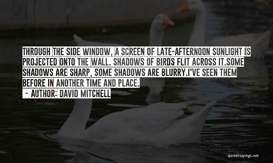 David Mitchell Quotes: Through The Side Window, A Screen Of Late-afternoon Sunlight Is Projected Onto The Wall. Shadows Of Birds Flit Across It.some