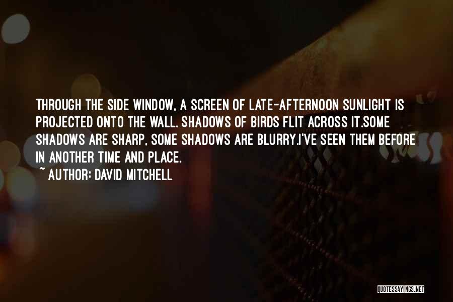 David Mitchell Quotes: Through The Side Window, A Screen Of Late-afternoon Sunlight Is Projected Onto The Wall. Shadows Of Birds Flit Across It.some