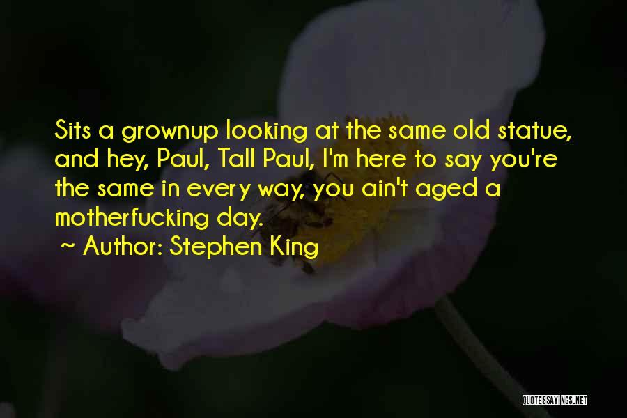 Stephen King Quotes: Sits A Grownup Looking At The Same Old Statue, And Hey, Paul, Tall Paul, I'm Here To Say You're The