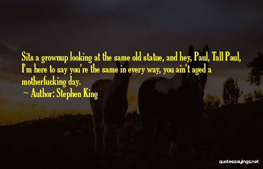 Stephen King Quotes: Sits A Grownup Looking At The Same Old Statue, And Hey, Paul, Tall Paul, I'm Here To Say You're The
