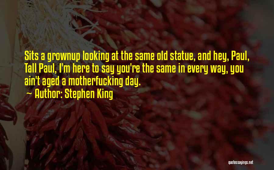 Stephen King Quotes: Sits A Grownup Looking At The Same Old Statue, And Hey, Paul, Tall Paul, I'm Here To Say You're The