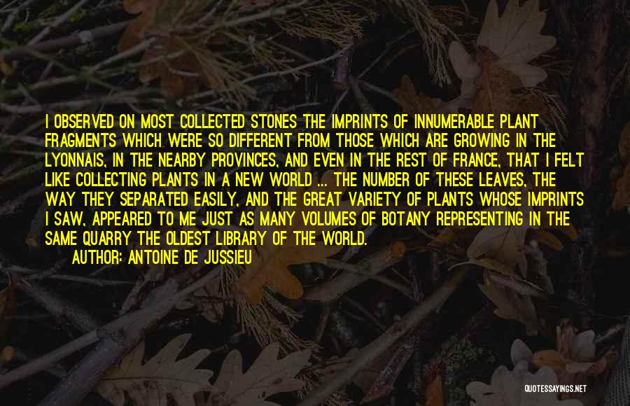 Antoine De Jussieu Quotes: I Observed On Most Collected Stones The Imprints Of Innumerable Plant Fragments Which Were So Different From Those Which Are