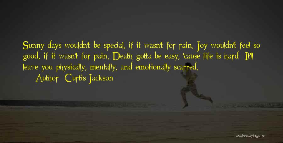 Curtis Jackson Quotes: Sunny Days Wouldn't Be Special, If It Wasn't For Rain. Joy Wouldn't Feel So Good, If It Wasn't For Pain.