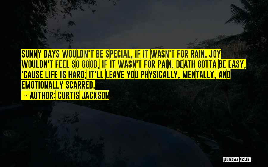 Curtis Jackson Quotes: Sunny Days Wouldn't Be Special, If It Wasn't For Rain. Joy Wouldn't Feel So Good, If It Wasn't For Pain.