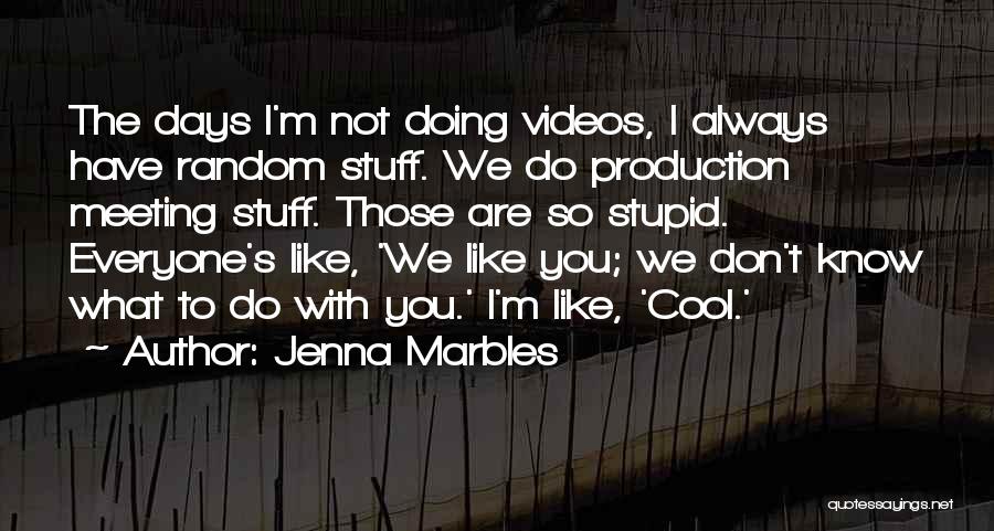 Jenna Marbles Quotes: The Days I'm Not Doing Videos, I Always Have Random Stuff. We Do Production Meeting Stuff. Those Are So Stupid.