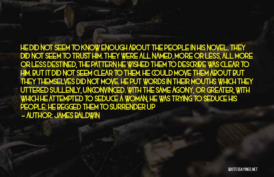 James Baldwin Quotes: He Did Not Seem To Know Enough About The People In His Novel. They Did Not Seem To Trust Him.