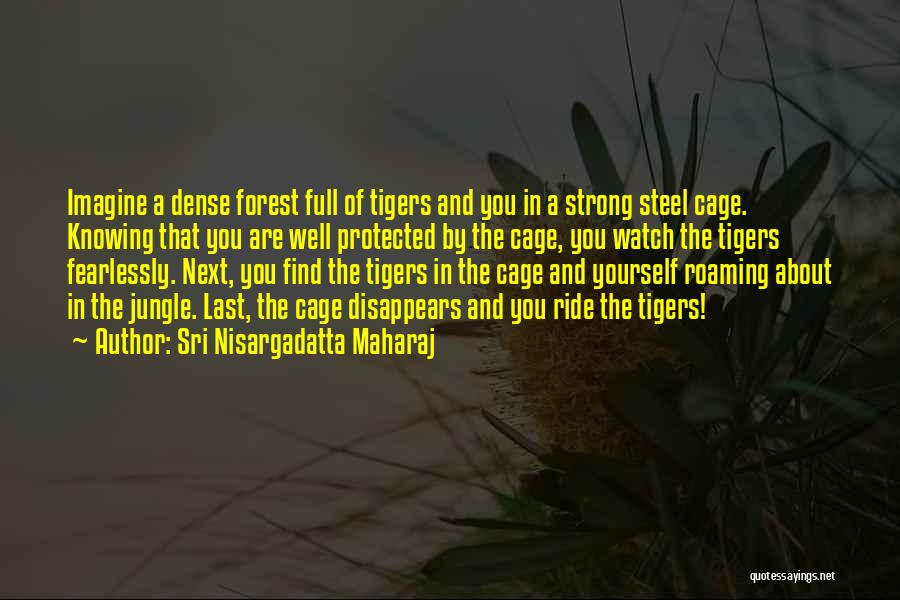 Sri Nisargadatta Maharaj Quotes: Imagine A Dense Forest Full Of Tigers And You In A Strong Steel Cage. Knowing That You Are Well Protected