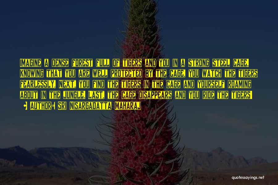 Sri Nisargadatta Maharaj Quotes: Imagine A Dense Forest Full Of Tigers And You In A Strong Steel Cage. Knowing That You Are Well Protected