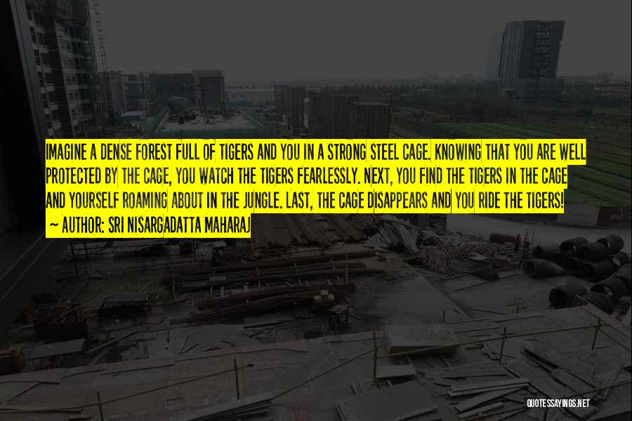 Sri Nisargadatta Maharaj Quotes: Imagine A Dense Forest Full Of Tigers And You In A Strong Steel Cage. Knowing That You Are Well Protected