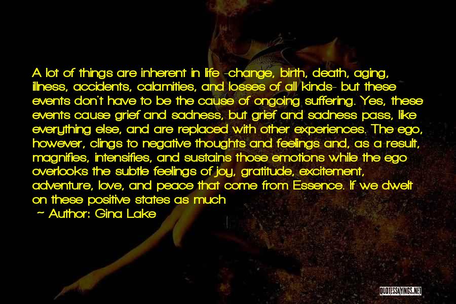 Gina Lake Quotes: A Lot Of Things Are Inherent In Life -change, Birth, Death, Aging, Illness, Accidents, Calamities, And Losses Of All Kinds-