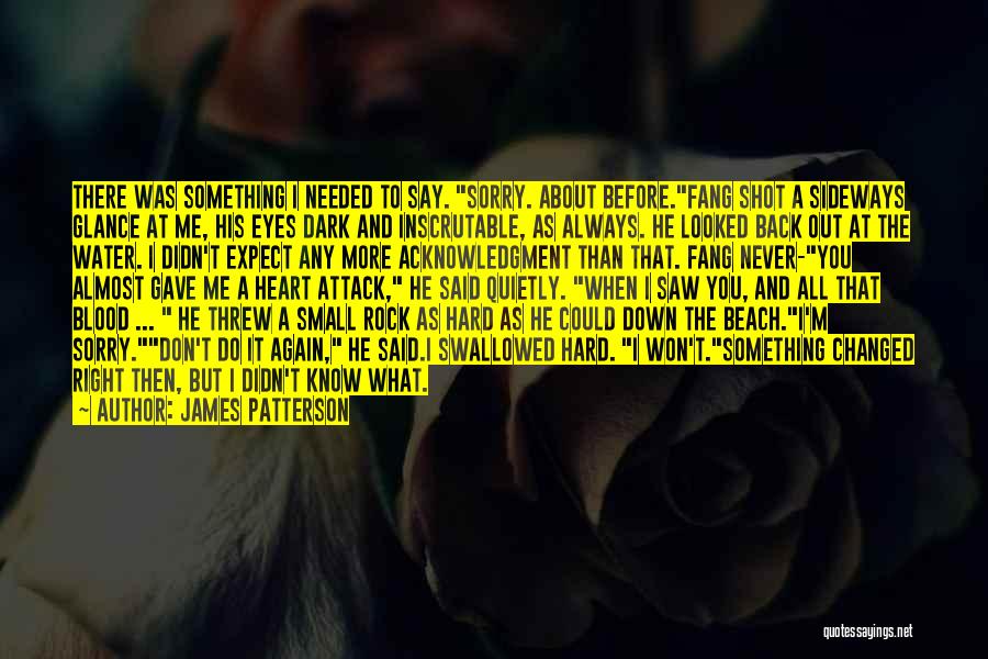 James Patterson Quotes: There Was Something I Needed To Say. Sorry. About Before.fang Shot A Sideways Glance At Me, His Eyes Dark And