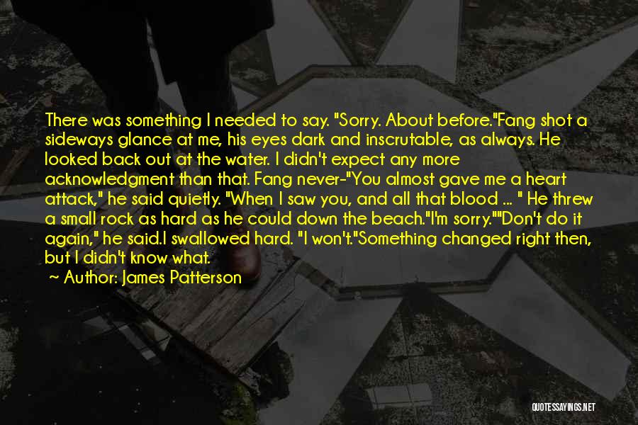 James Patterson Quotes: There Was Something I Needed To Say. Sorry. About Before.fang Shot A Sideways Glance At Me, His Eyes Dark And