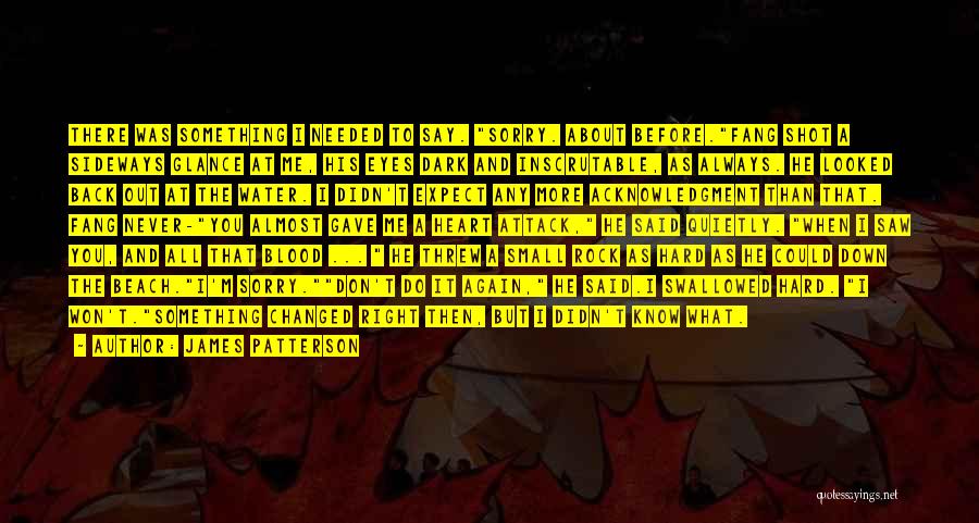 James Patterson Quotes: There Was Something I Needed To Say. Sorry. About Before.fang Shot A Sideways Glance At Me, His Eyes Dark And