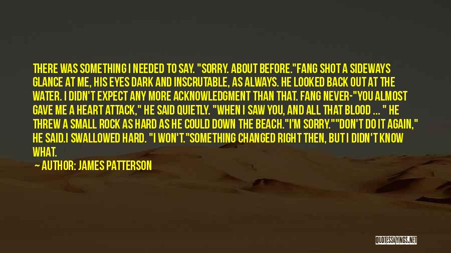James Patterson Quotes: There Was Something I Needed To Say. Sorry. About Before.fang Shot A Sideways Glance At Me, His Eyes Dark And