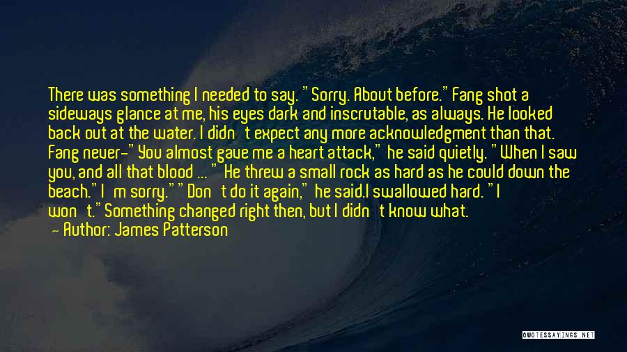 James Patterson Quotes: There Was Something I Needed To Say. Sorry. About Before.fang Shot A Sideways Glance At Me, His Eyes Dark And