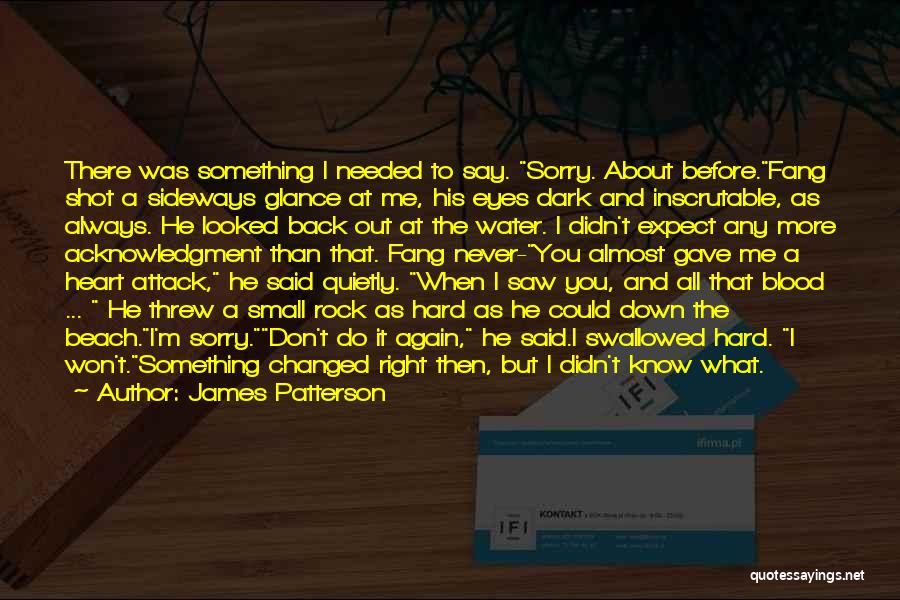 James Patterson Quotes: There Was Something I Needed To Say. Sorry. About Before.fang Shot A Sideways Glance At Me, His Eyes Dark And