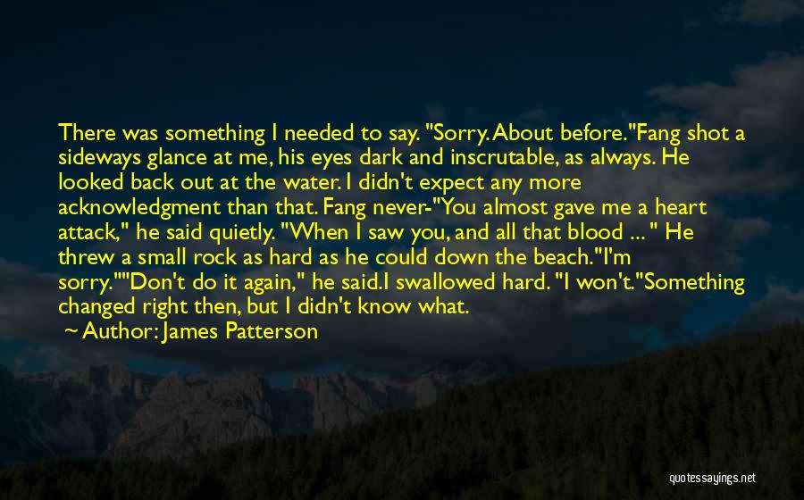 James Patterson Quotes: There Was Something I Needed To Say. Sorry. About Before.fang Shot A Sideways Glance At Me, His Eyes Dark And