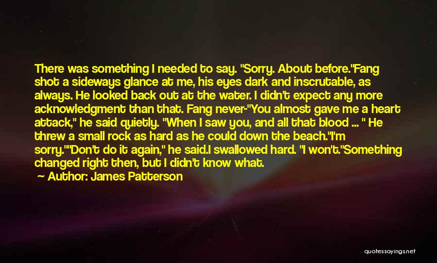 James Patterson Quotes: There Was Something I Needed To Say. Sorry. About Before.fang Shot A Sideways Glance At Me, His Eyes Dark And