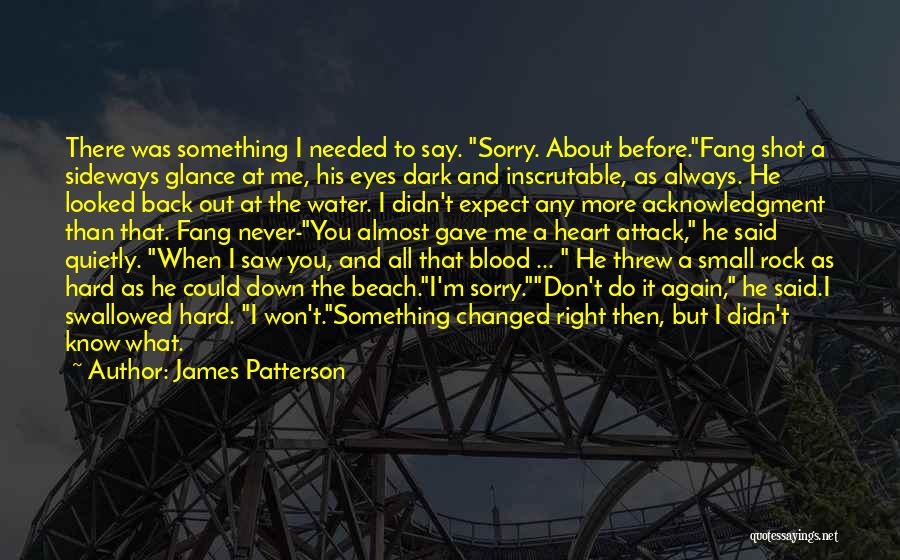 James Patterson Quotes: There Was Something I Needed To Say. Sorry. About Before.fang Shot A Sideways Glance At Me, His Eyes Dark And